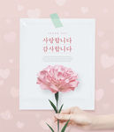 感恩节