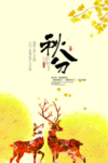 秋分