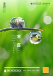 寒露