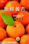 黄杏