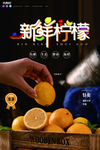 柠檬