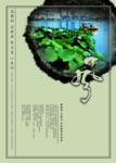 中国风