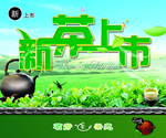 新茶上市