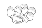 草菇