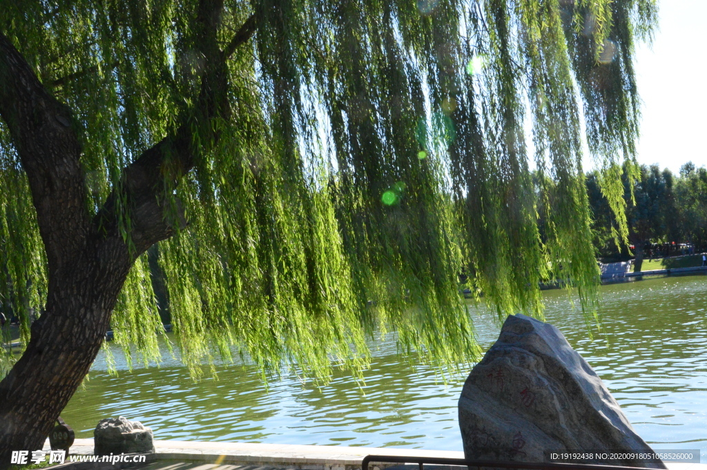 陶然亭风景