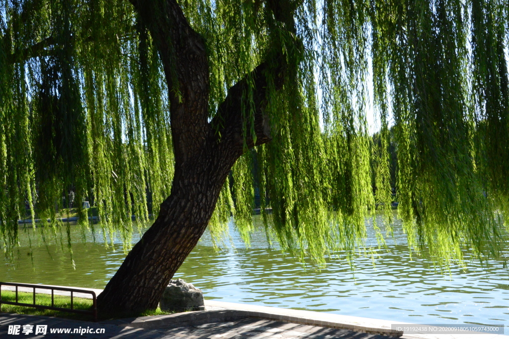 陶然亭风景