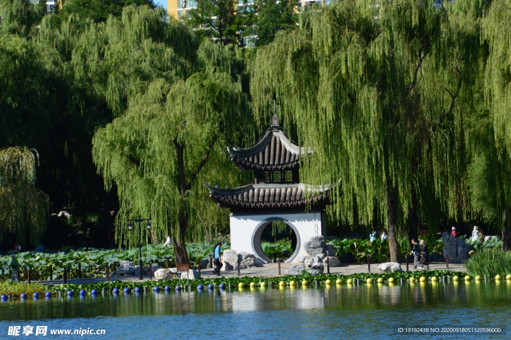 园林风景