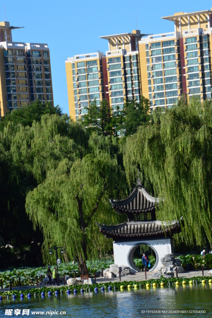 陶然亭风景