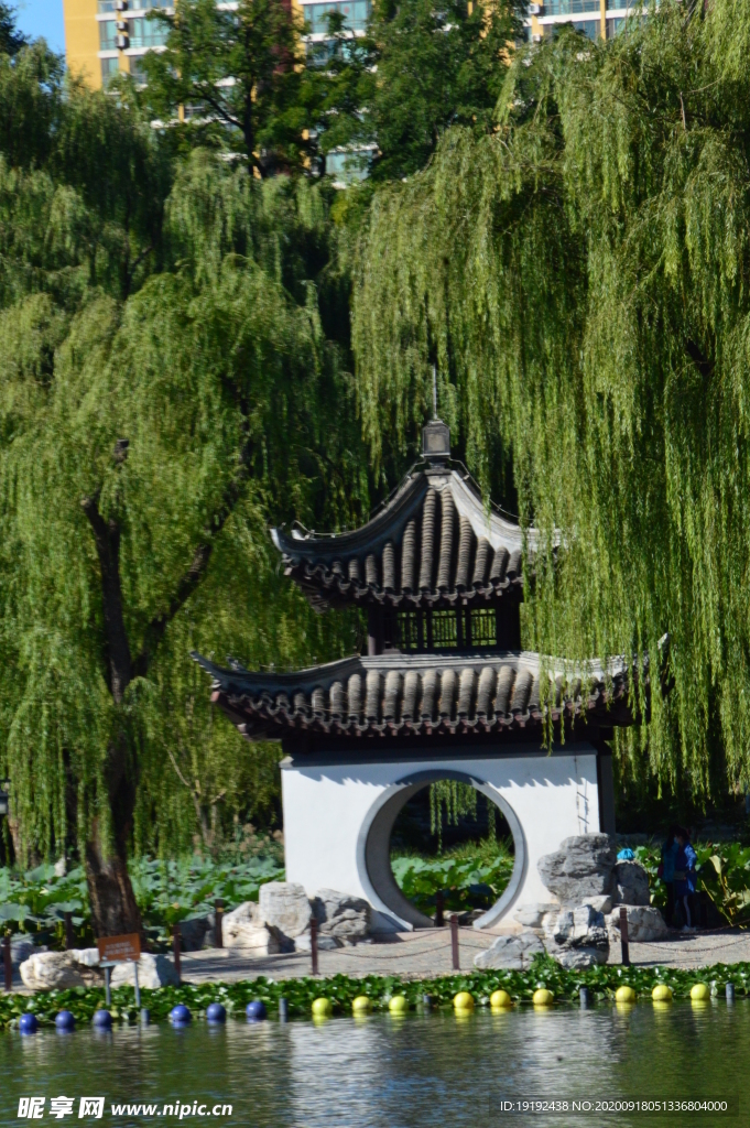 园林风景