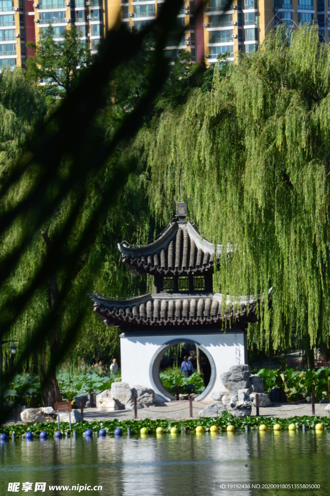 陶然亭风景