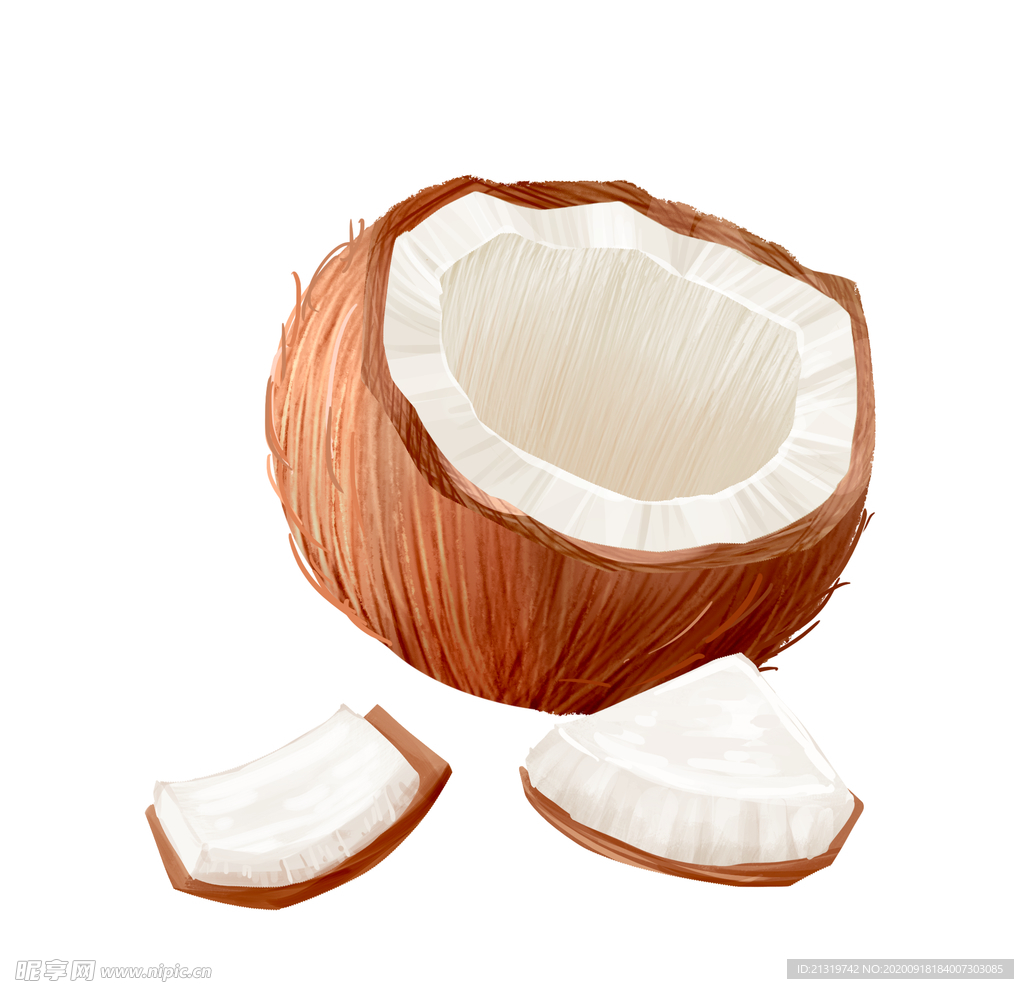 椰子壳绘画图片大全,创意椰子壳画,椰子壳工艺品图片_大山谷图库