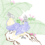 高清工笔国画透明线稿之芭蕉鹦鹉