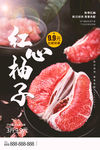柚子海报