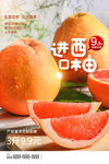 西柚海报