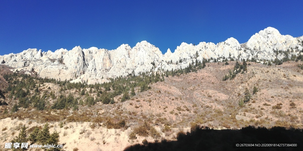 松林石山山峰风景