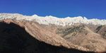 高山石林