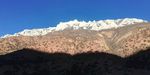 高山石林