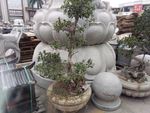 莲花座