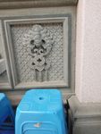 蝙蝠金钱