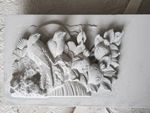花鸟图