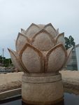 莲花