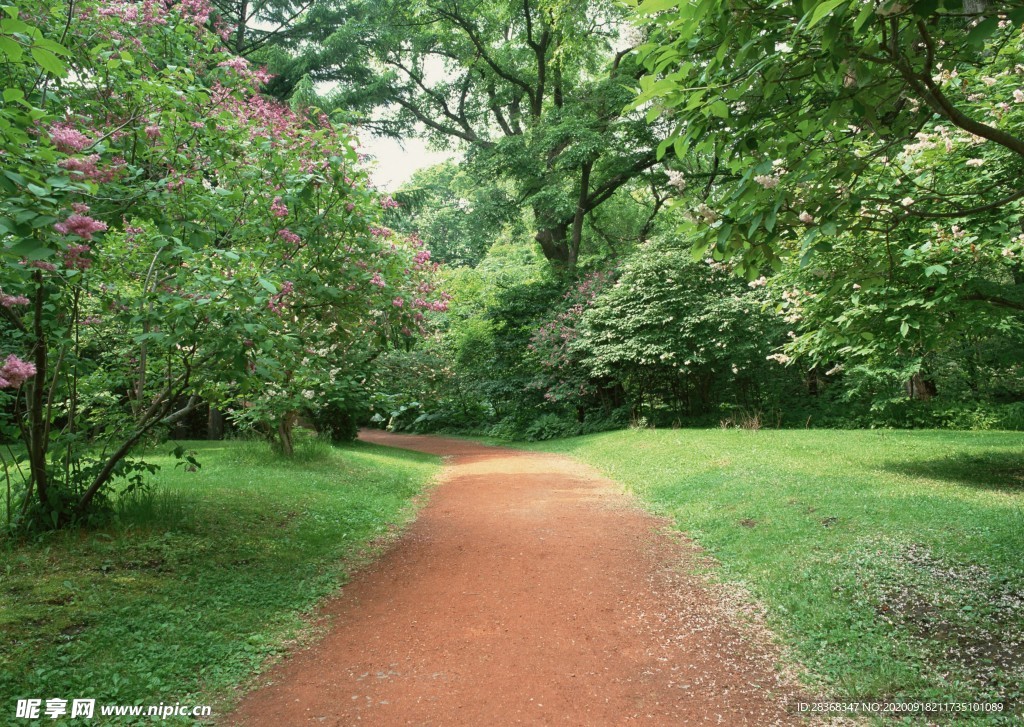 林间小路