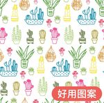 植物插画