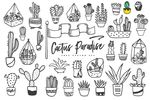 植物插画