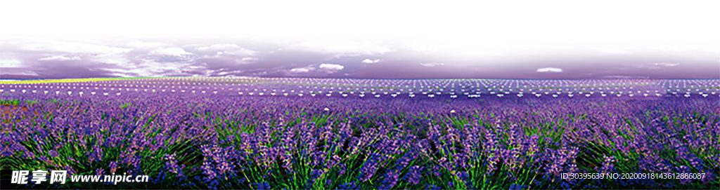 浪漫素材
