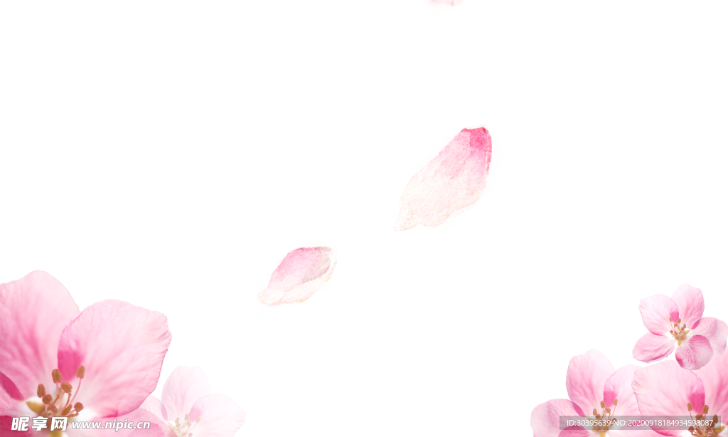 浪漫素材