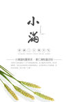 小满