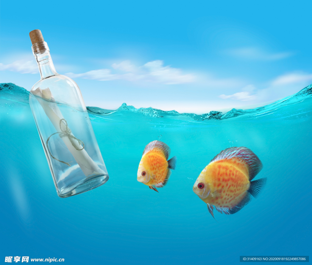 海洋