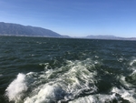 海浪
