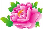 牡丹花 上贰