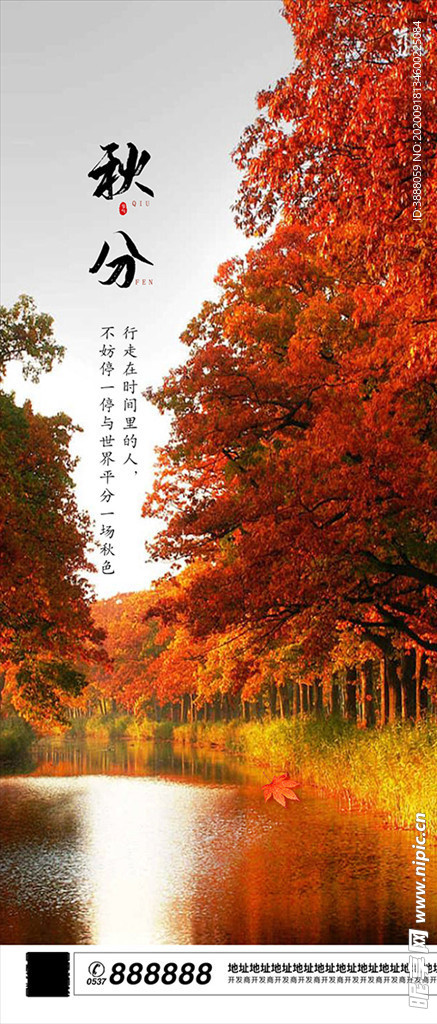 秋天 枫叶 秋分 节气海报