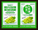 阳光玫瑰葡萄