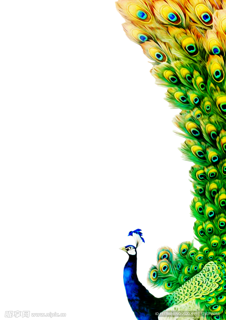 孔雀