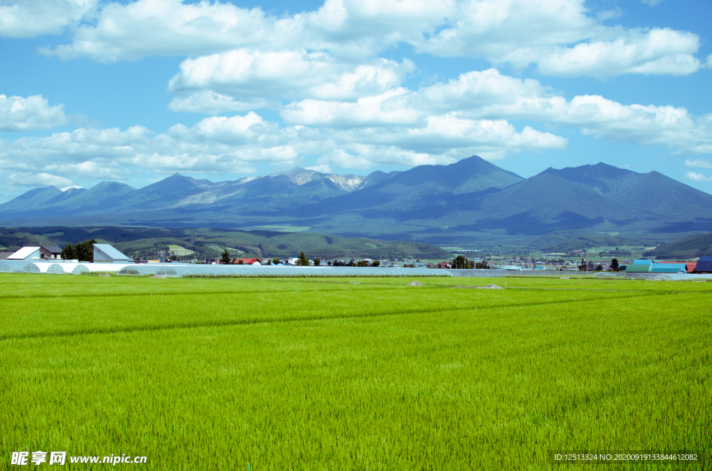 北海道