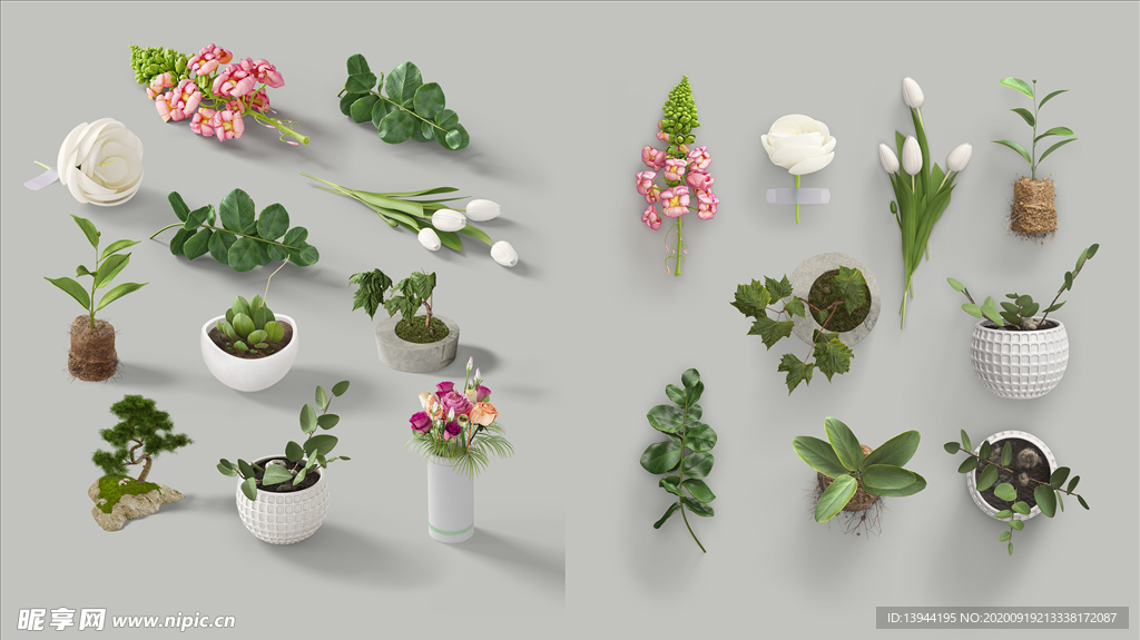 化妆品样机 植物