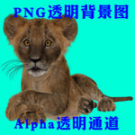 狮子