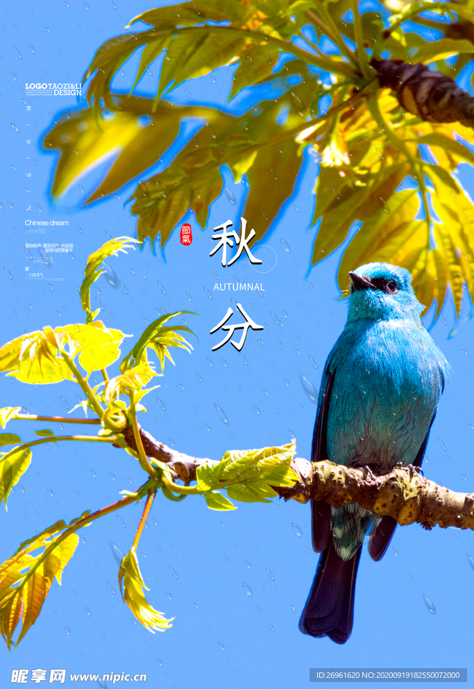 秋分