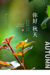 秋分