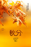 秋分