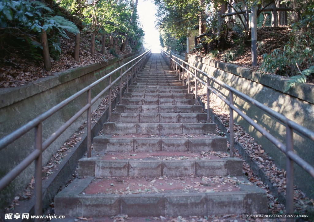 乡间小路