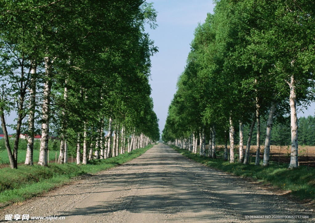 乡间小路