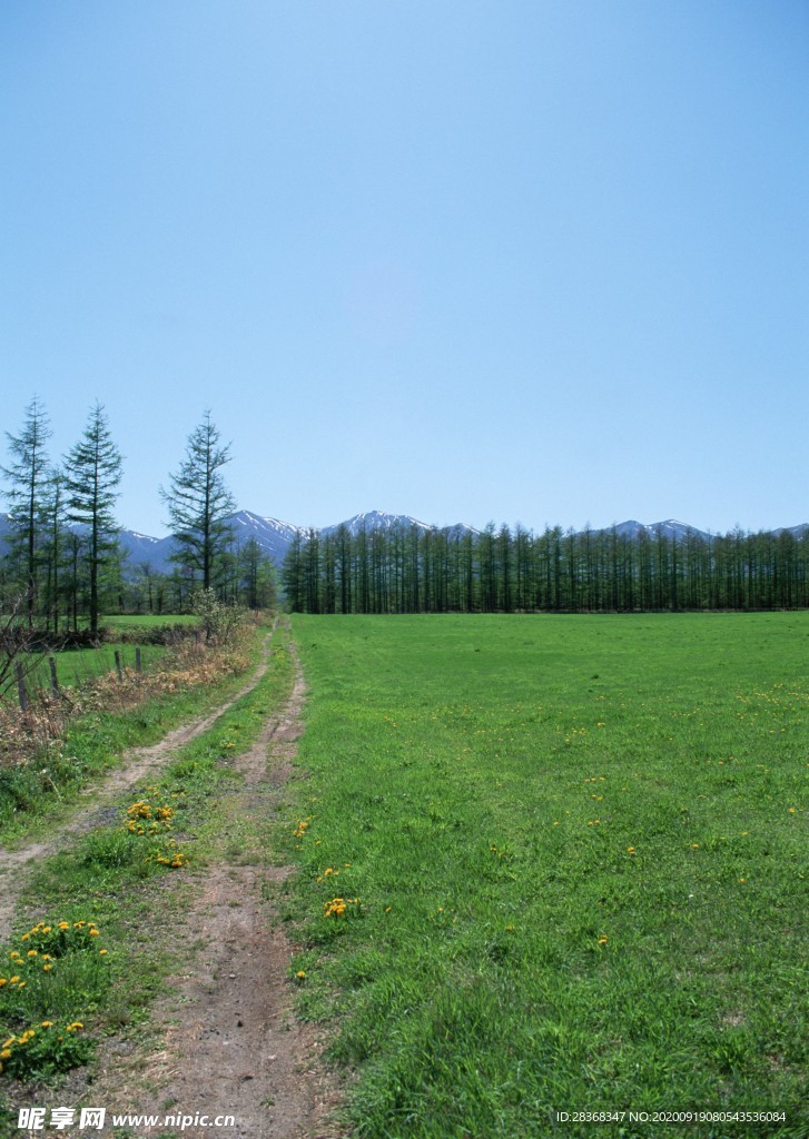 乡间小路