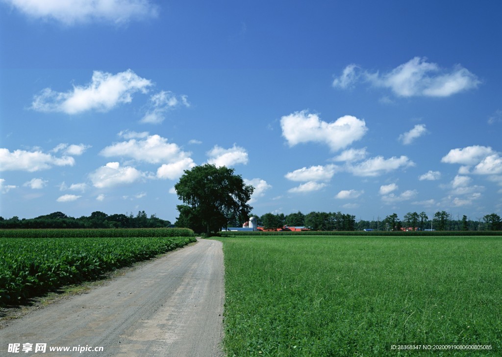 乡间小路