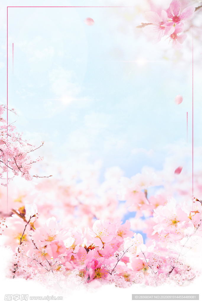 粉色背景