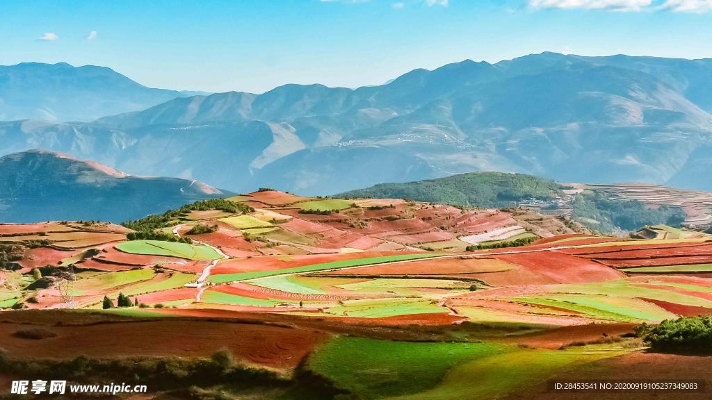 风景