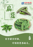 扁豆